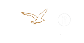 De Mallemok Logo De Mallemok